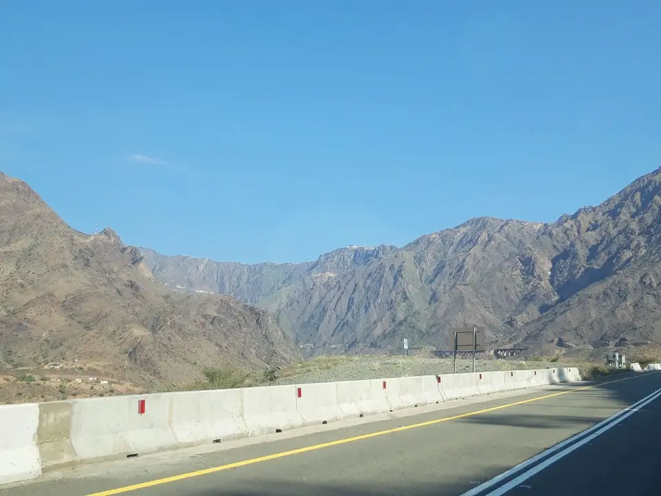20241110_091809.jpg