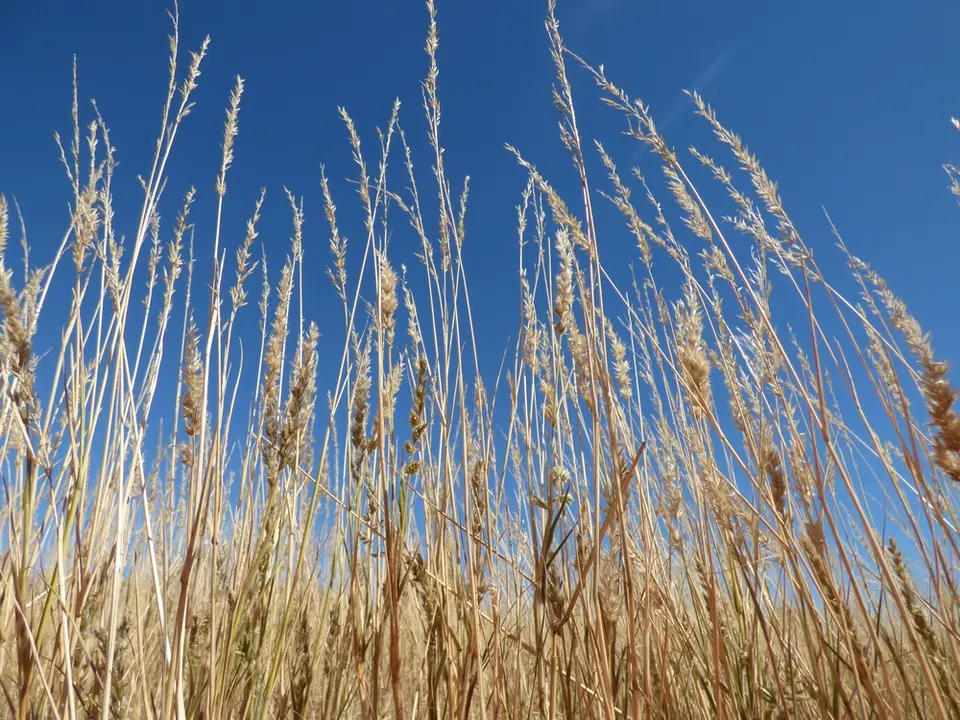 tn_P1000562.JPG