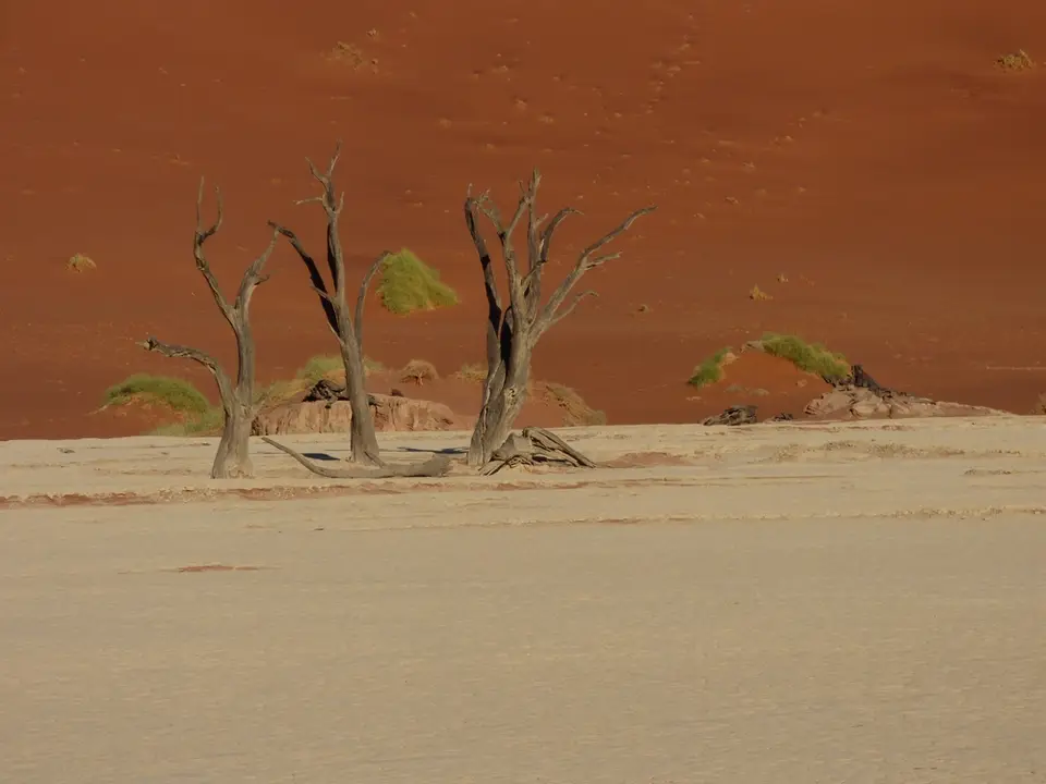 tn_P1010687.JPG