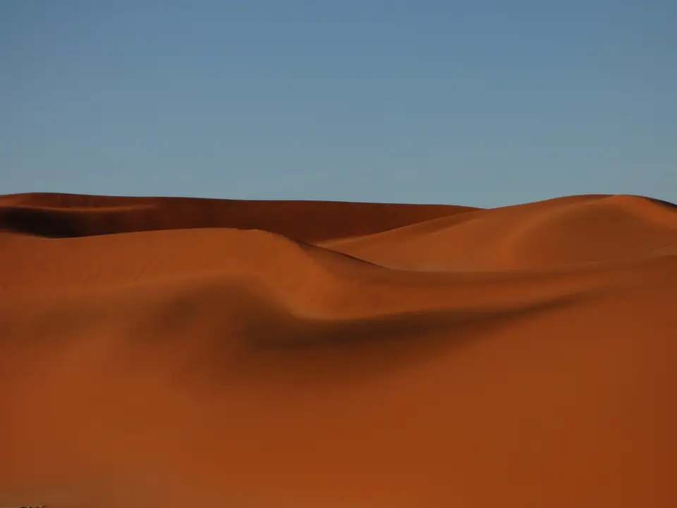 tn_P1010815.JPG