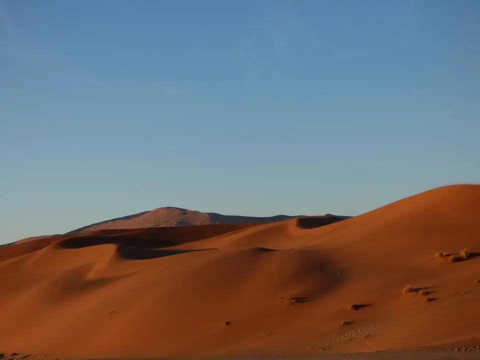 tn_P1010845.JPG