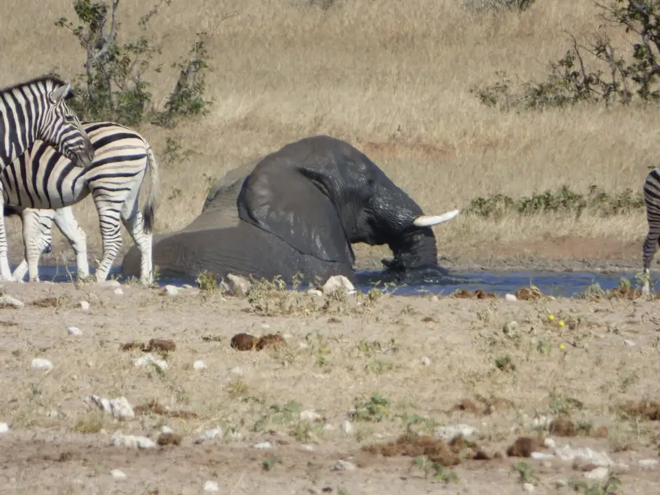 tn_P1020120.JPG
