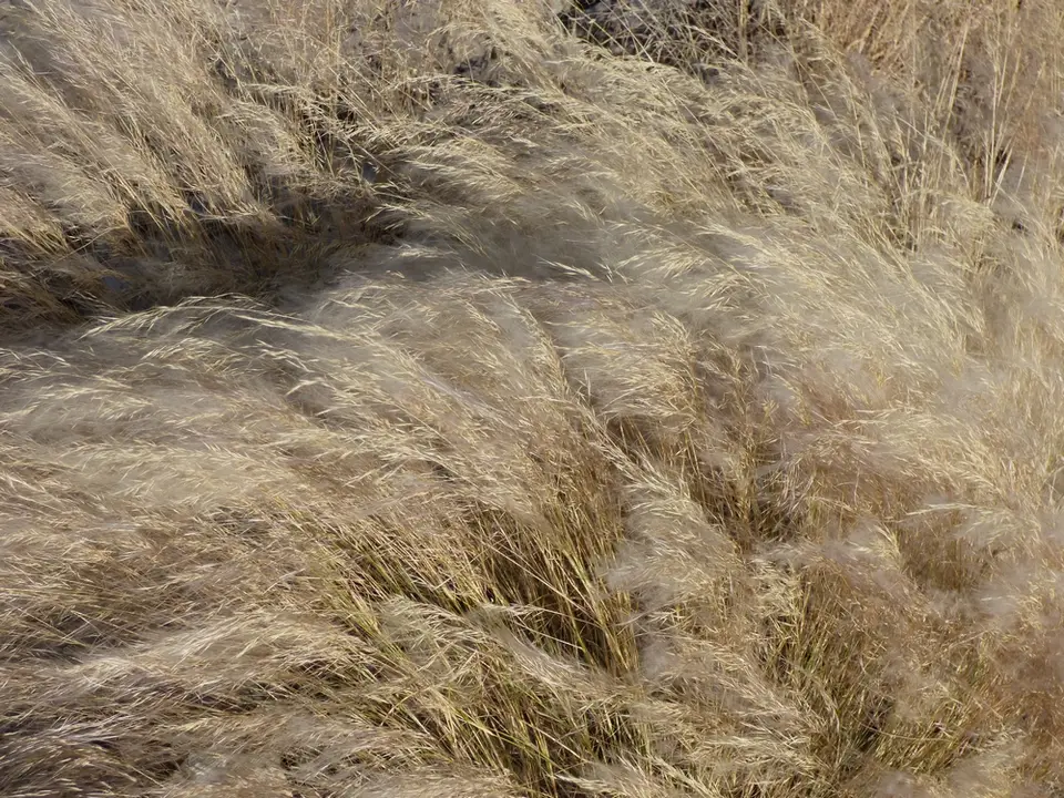 tn_P1020269.JPG