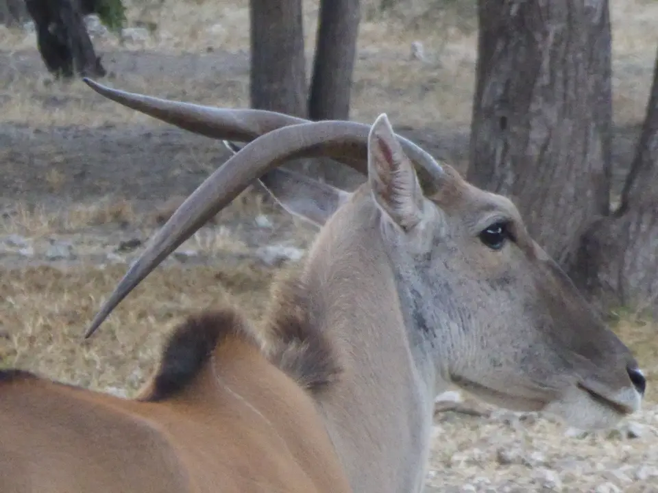 tn_P1090986.JPG