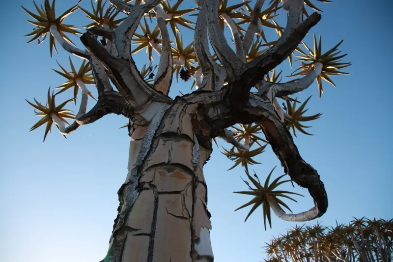 Namibia20111226.jpg