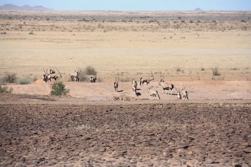 Namibia20111311.jpg