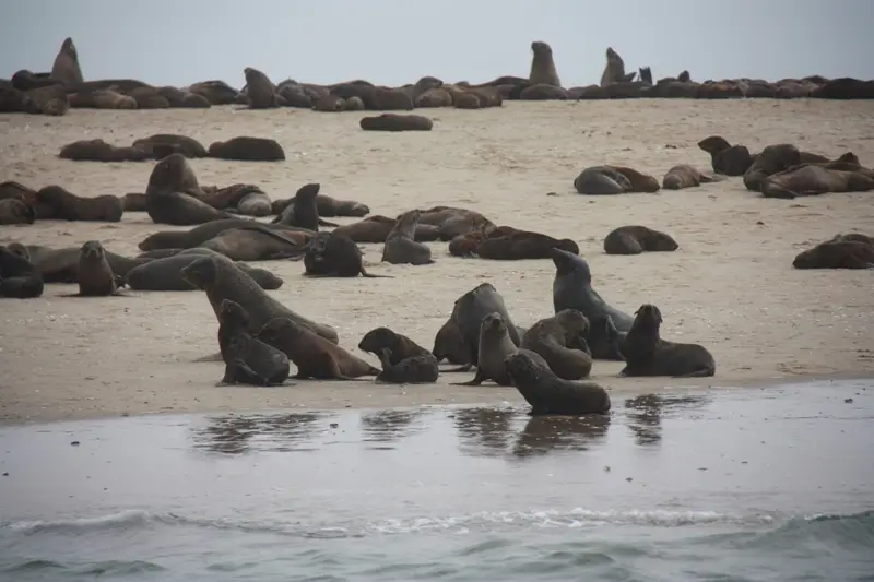 Namibia20112157.jpg