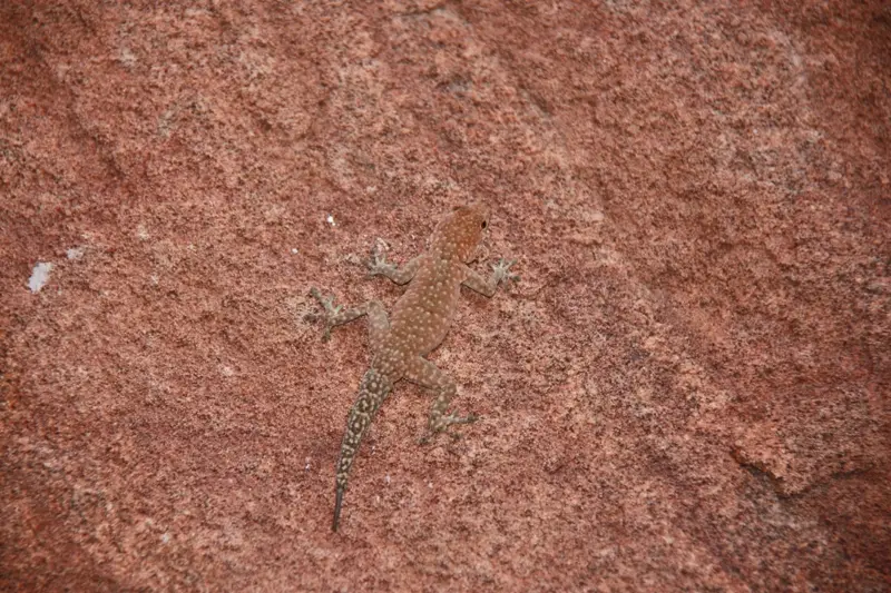 Namibia20112550.jpg