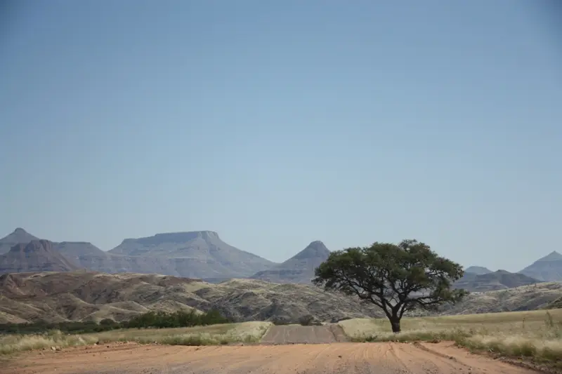 Namibia20112585.jpg