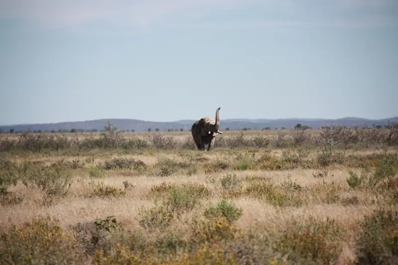 Namibia20113162.jpg