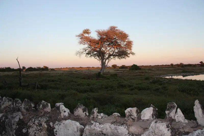 Namibia20113320.jpg
