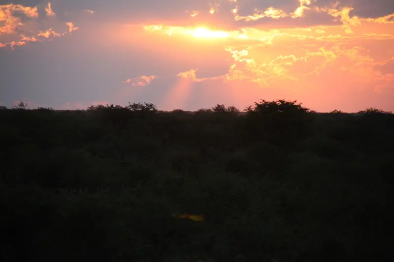 Namibia20113442.jpg