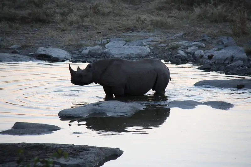 Namibia20113447.jpg