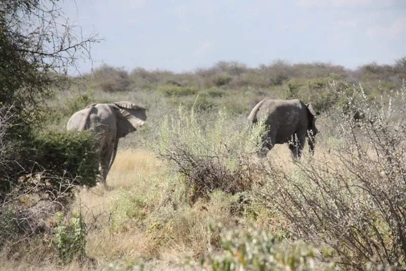 Namibia20113557.jpg