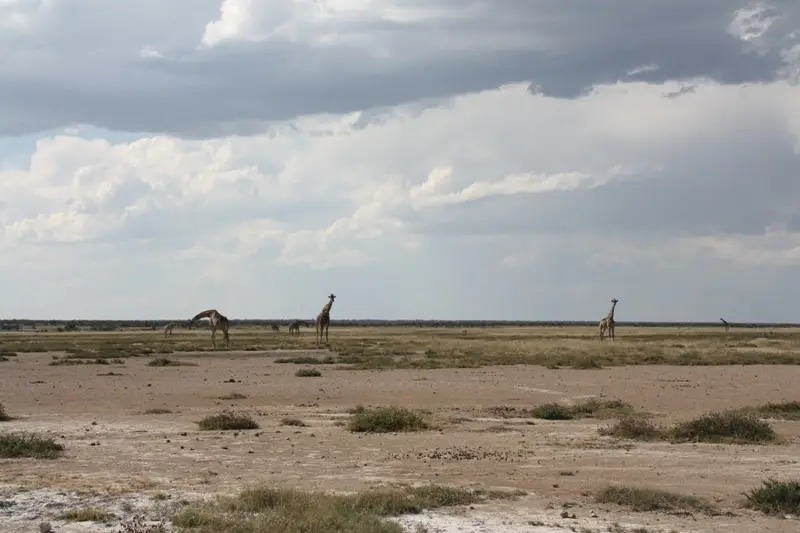 Namibia20113580.jpg