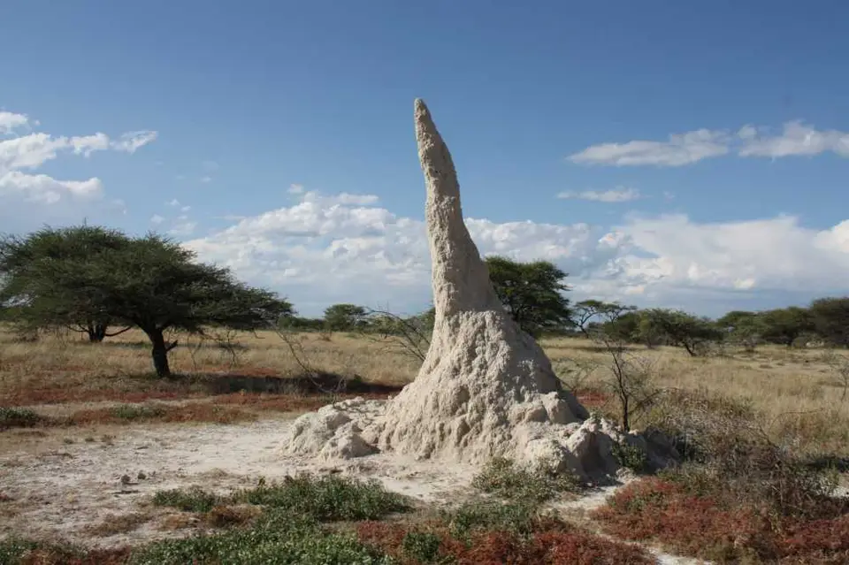 Namibia20113593.jpg