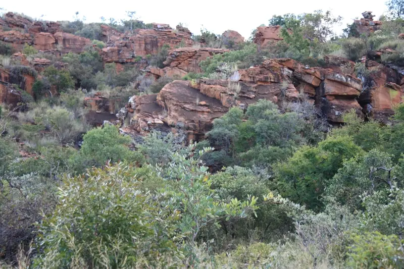 Namibia20113727.jpg