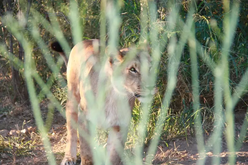 Namibia20113807.jpg