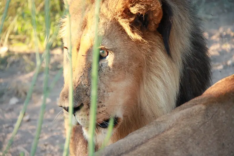 Namibia20113811.jpg