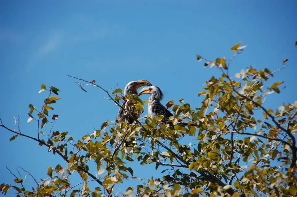DSC_0205.JPG