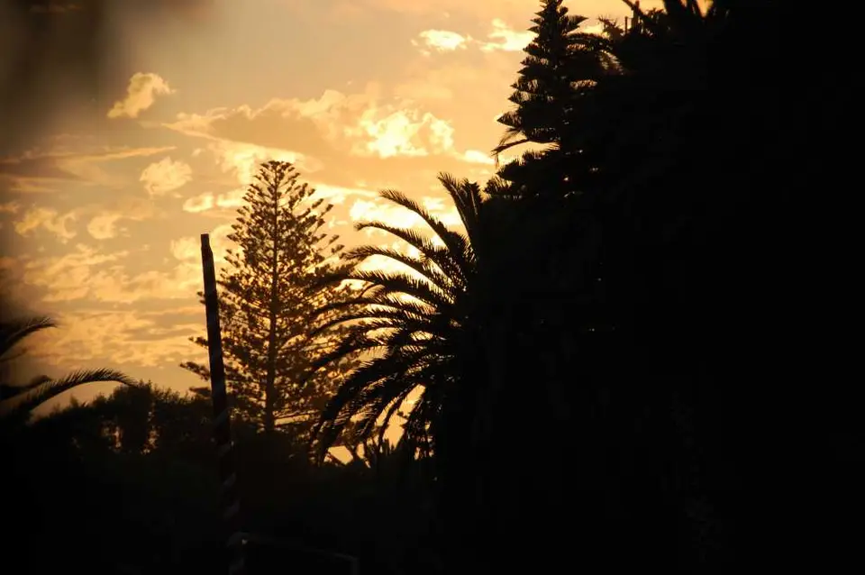 DSC_0901.JPG