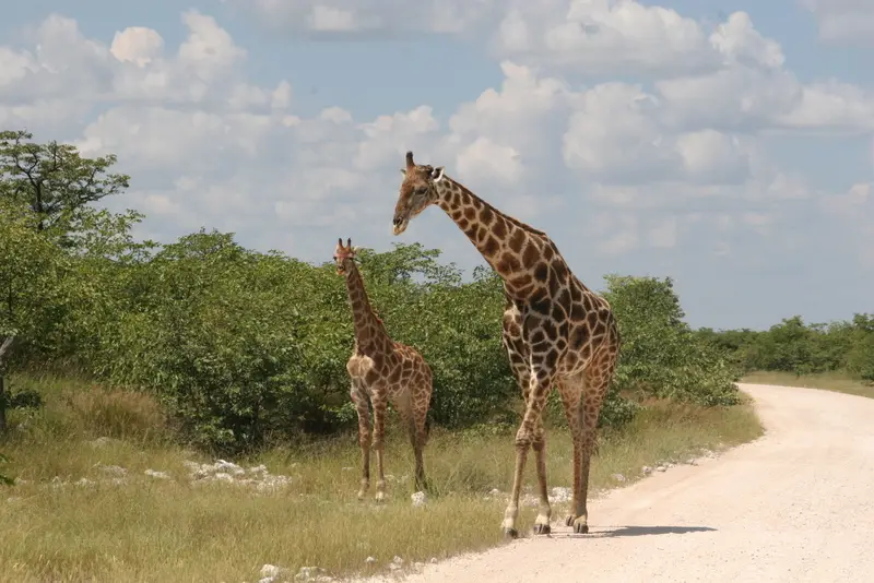 Namibia2010_-1094.jpg