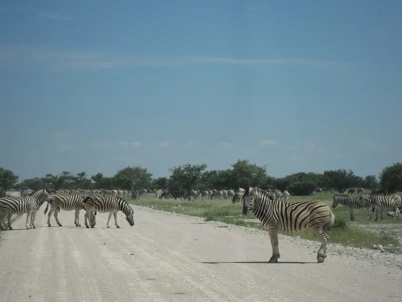 Namibia2010_-1891.jpg