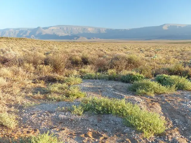 h5c6a08c.jpg