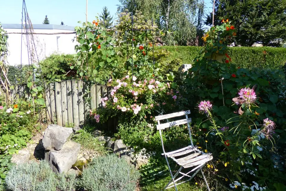 P1000026.JPG