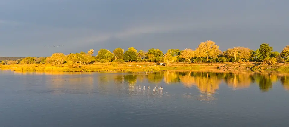 P1040501-2.jpg