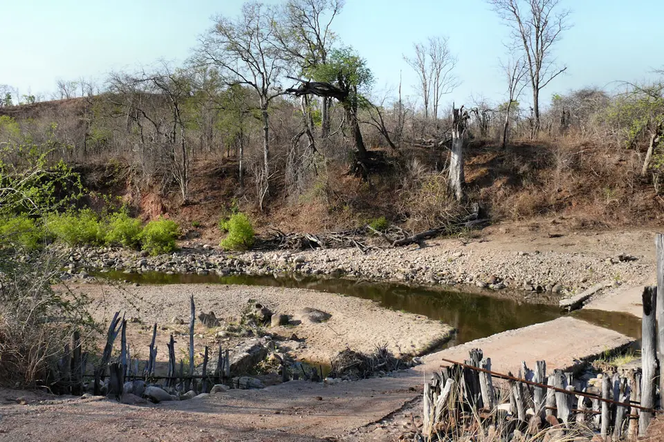 ZIM20110050.jpg