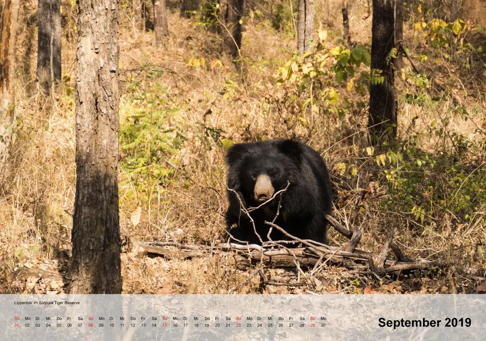 kalender_Indienfür2019-10.jpg