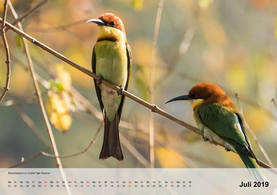 kalender_Indienfür2019-8.jpg