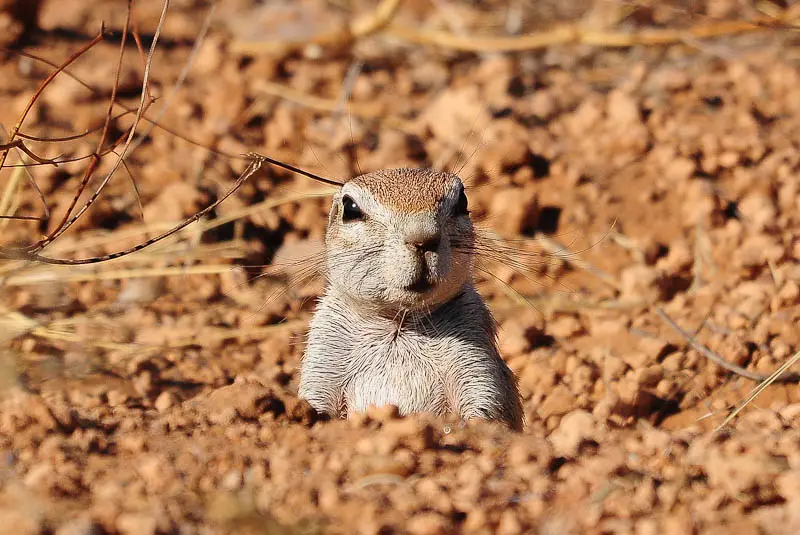 DSC_0050.jpg