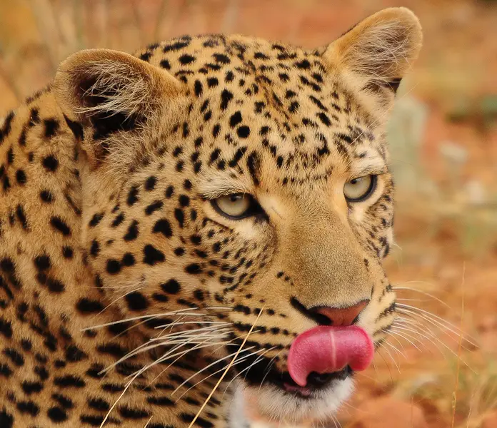 DSC_0070-2_2012-01-12.jpg
