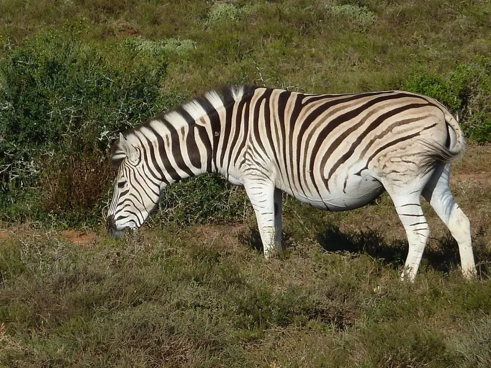 2012-10-13_07-36-12Kopie.jpg