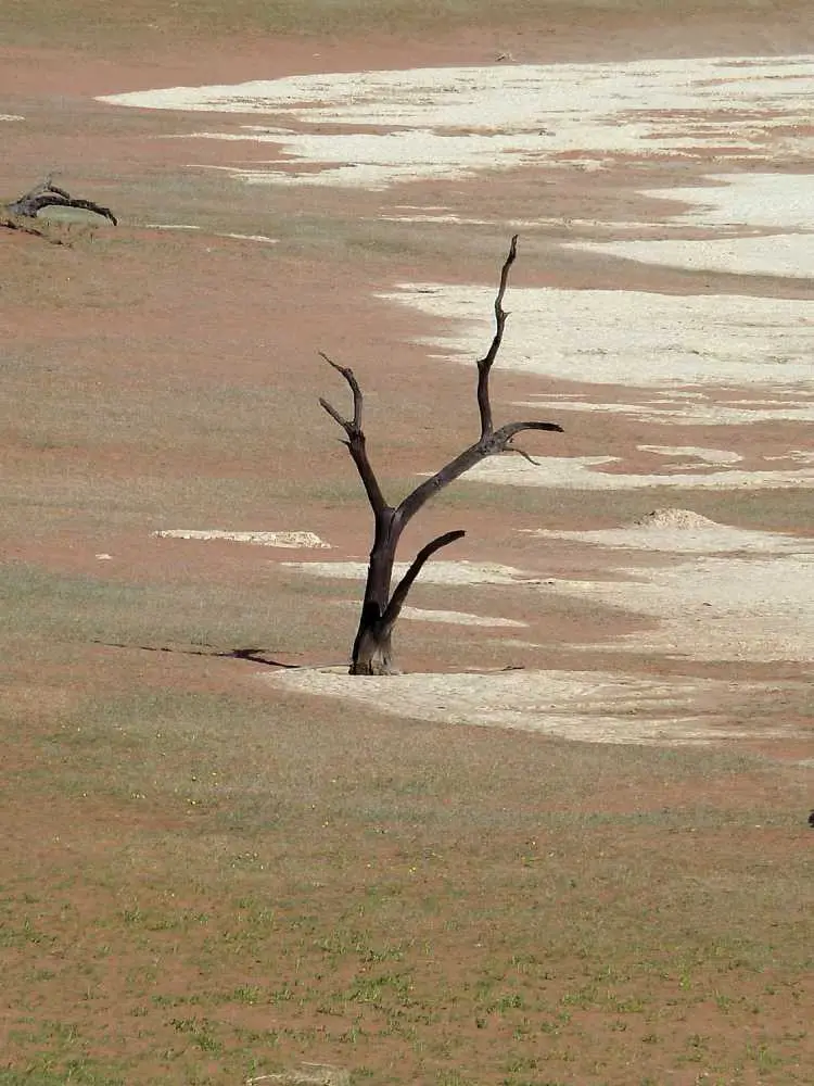 DeadVlei3.jpg