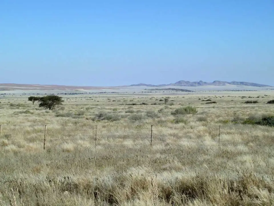 Namib1.jpg