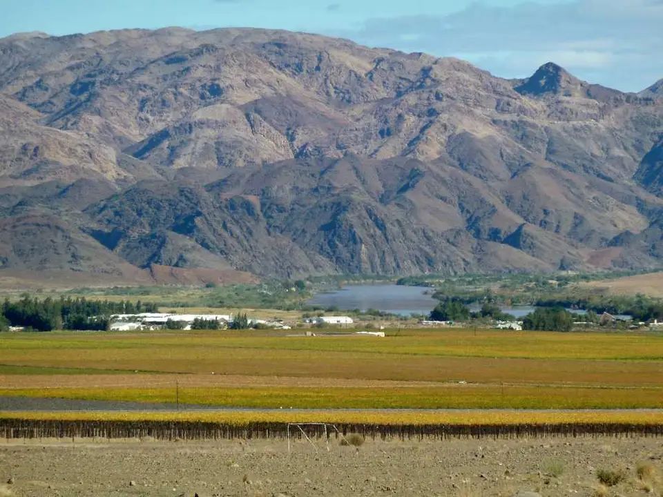 OrangeRiverVineyards.jpg