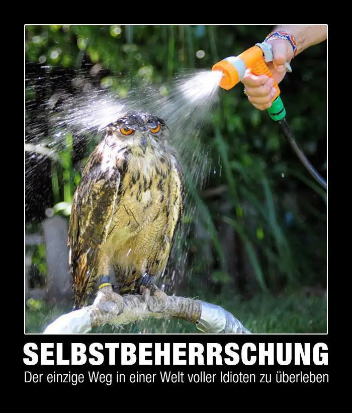 selbstbeherrschung.jpg