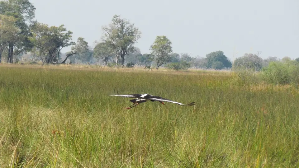 AIMG_0465.jpg