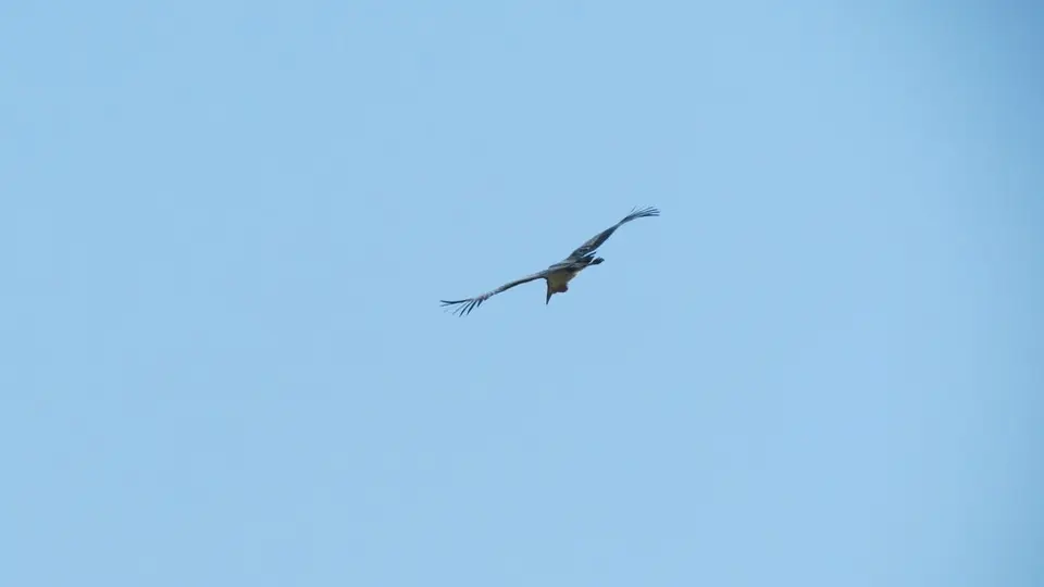 AIMG_0472.jpg