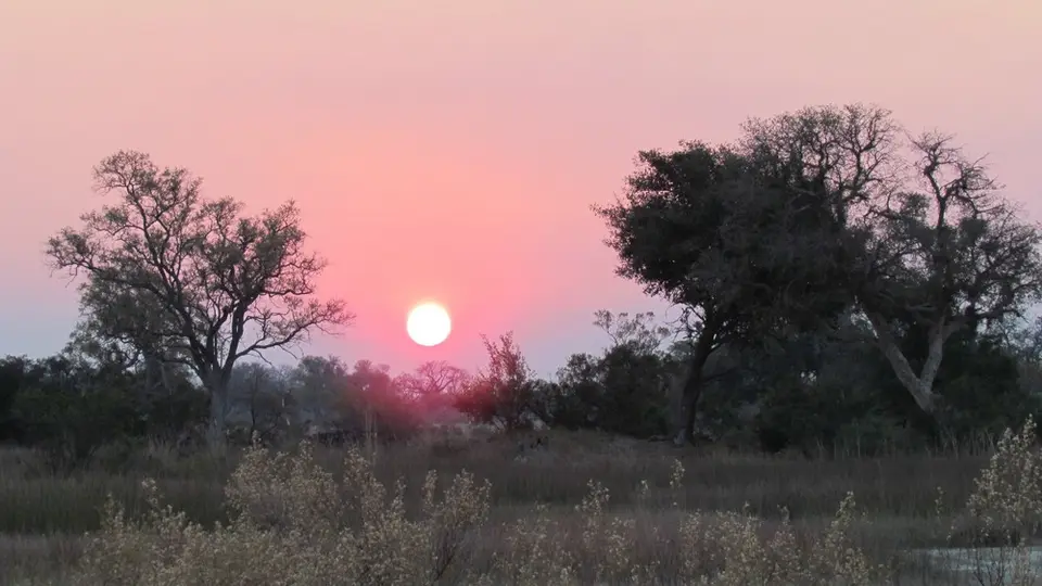 AIMG_0605.jpg