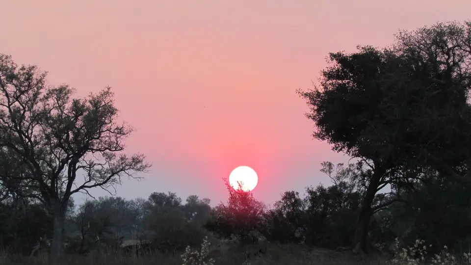 AIMG_0608.jpg