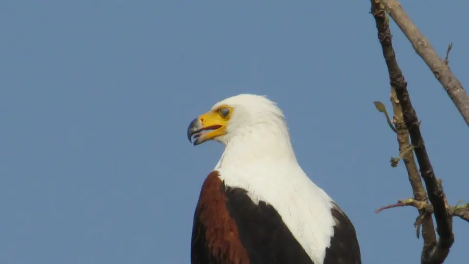 AIMG_0775.jpg