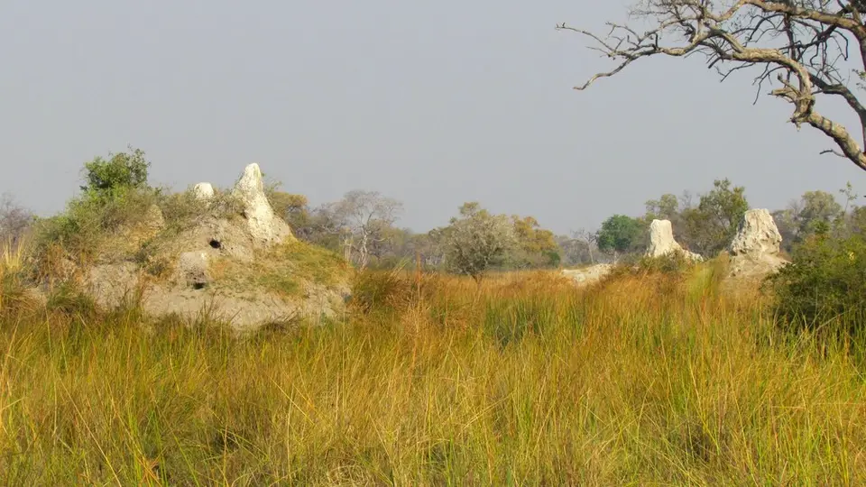 AIMG_0790.jpg