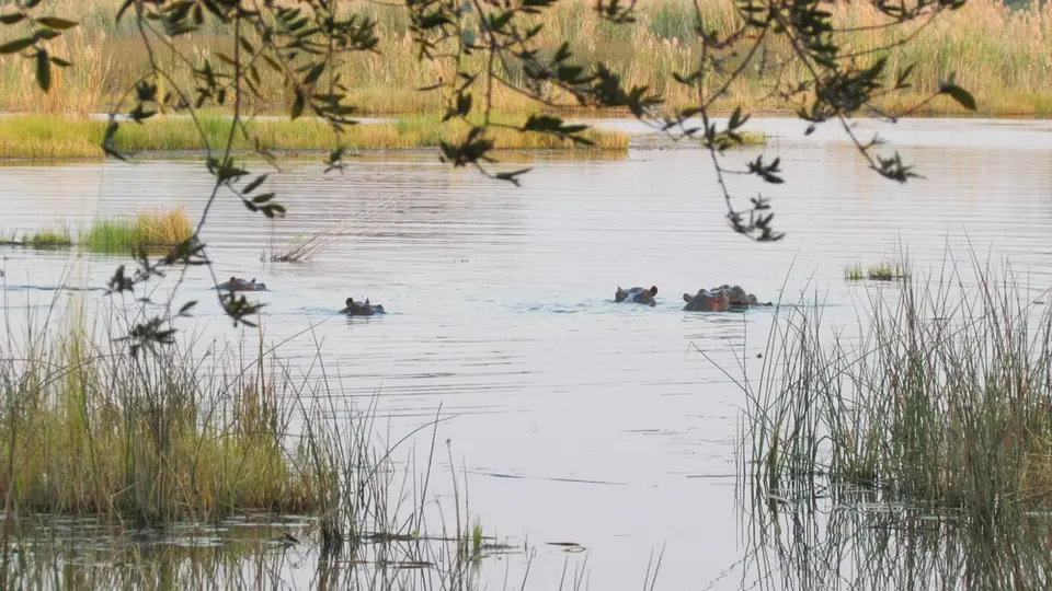 AIMG_0867.jpg