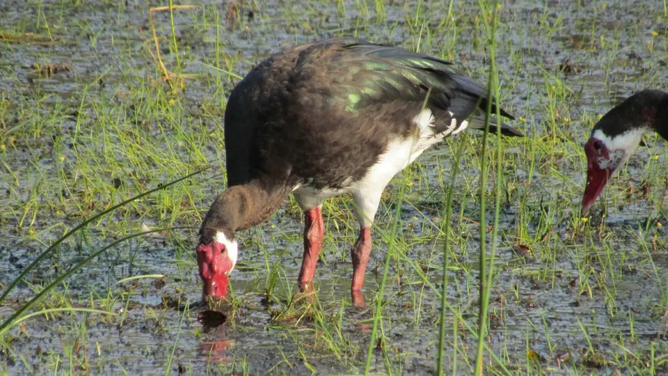 AIMG_0909.jpg
