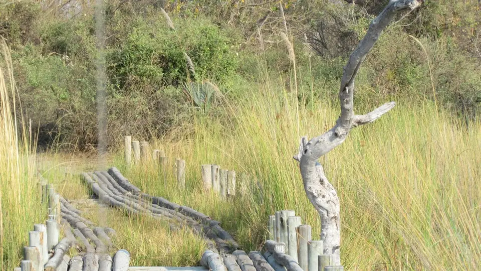 AIMG_0936.jpg