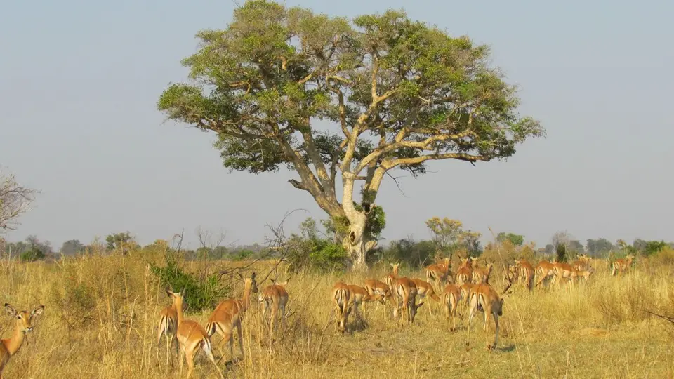AIMG_0943.jpg